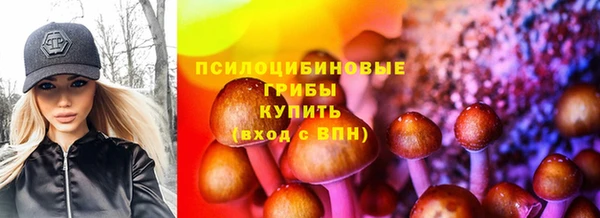 трава Снежинск